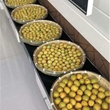 Artisan Bamboo Perforated Screen Collection - Fast Delivery