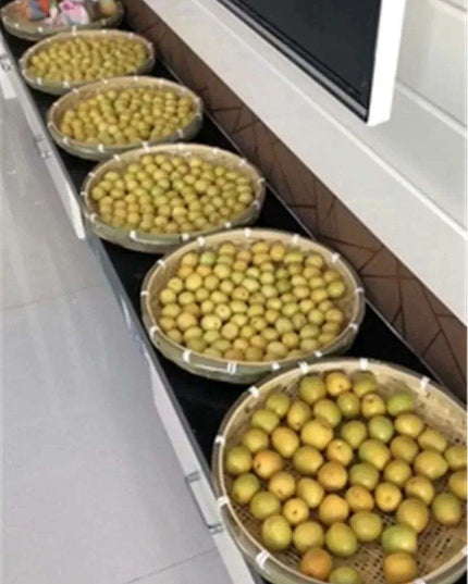 Artisan Bamboo Perforated Screen Collection - Fast Delivery