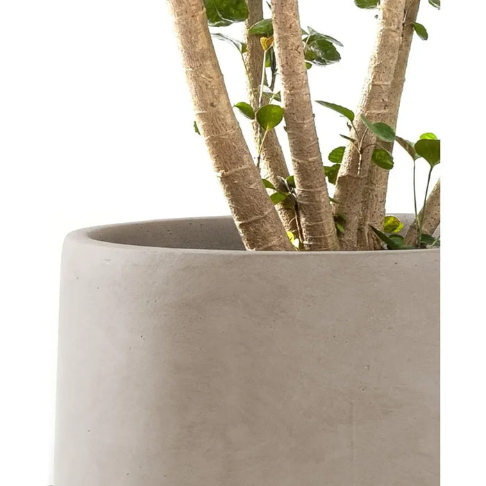 Sleek Concrete Circular Plant Pot Set with Gentle Curves and Drainage Openings