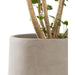 Modern Concrete Round Planter Set with Soft Curves and Drainage Holes