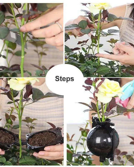 Clear Propagation Sphere for High-Pressure Grafting - Available in 5cm, 8cm, and 12cm Sizes