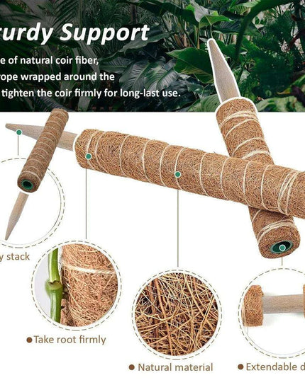 Vertical Garden Climbing Support Kit - Eco-Friendly Growth Solution for Indoor Plants