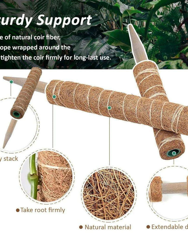 Vertical Garden Climbing Support Kit - Eco-Friendly Growth Solution for Indoor Plants