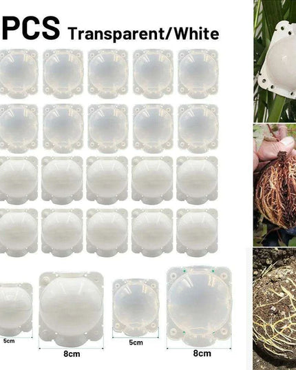 10-Pack High-Pressure Grafting Nursery Boxes for Efficient Indoor & Outdoor Plant Propagation