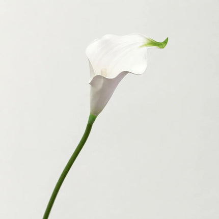 Artificial Calla Lily Flower Stem, 50 cm, Single Stem