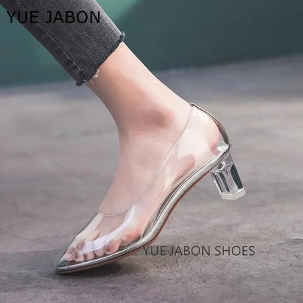 Longzehui Transparent High Heels – Pointed Toe Slip-On Perspex Pumps