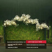 L500cm-B / Ceramic Leaf / Cold White