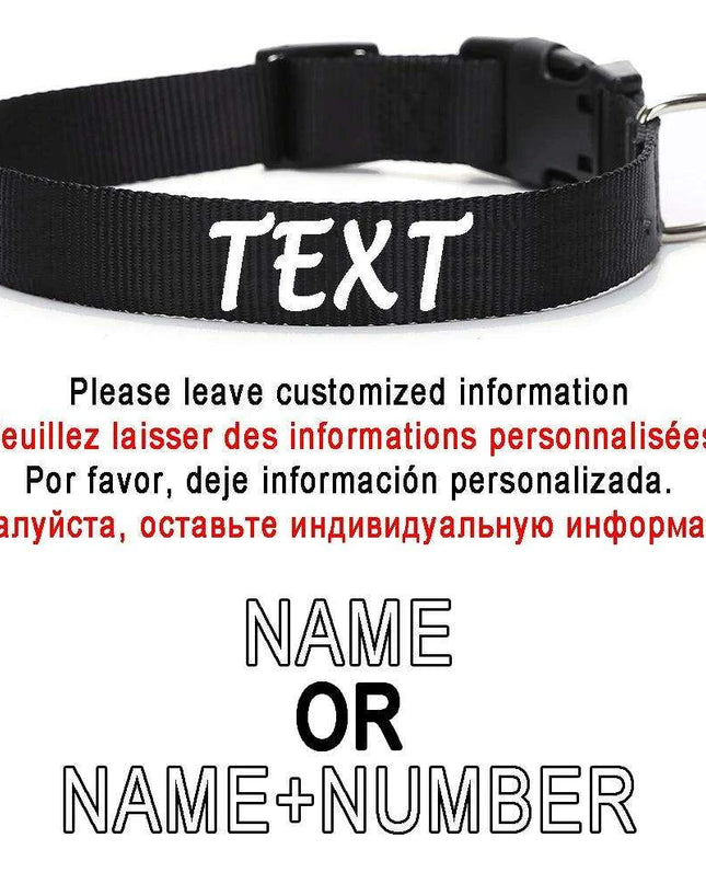 Personalized Nylon Dog ID Collar – Custom Name & Contact Info for Every Dog Breed