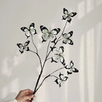 Spotted white