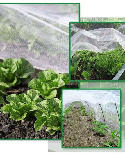 Garden Guardian: Premium Mesh Netting for Thriving Plants