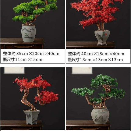Prosperity Emblem Chinese Pine Bonsai - A Luxurious Symbol of Wealth and Abundance