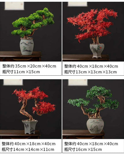 Prosperity Emblem Chinese Pine Bonsai - A Luxurious Symbol of Wealth and Abundance