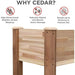 Elevated Canadian Cedar Planting Box | Premium Wood Planter for Cultivating Fresh Herbs, Veggies, Blooms