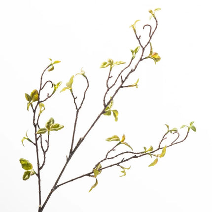 Haven Lab Real Touch Willow Deadwood Vase Filler - Faux Greenery Stems