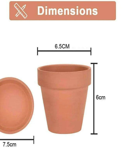 Set of 6 Adorable Mini Terracotta Pots with Saucers - Perfect for Succulents, Cacti, and Herbs - Sturdy Clay Planters for Home and Garden Decoration
