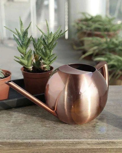 Stylish Stainless Steel Watering Can with Extended Spout - Perfect for Plant Nurturing