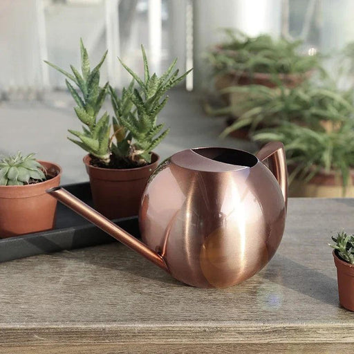 Stylish Stainless Steel Watering Can with Extended Spout - Perfect for Plant Nurturing