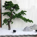 Lifelike Large Artificial Pine Bonsai Tree for Stunning Home and Garden Decor