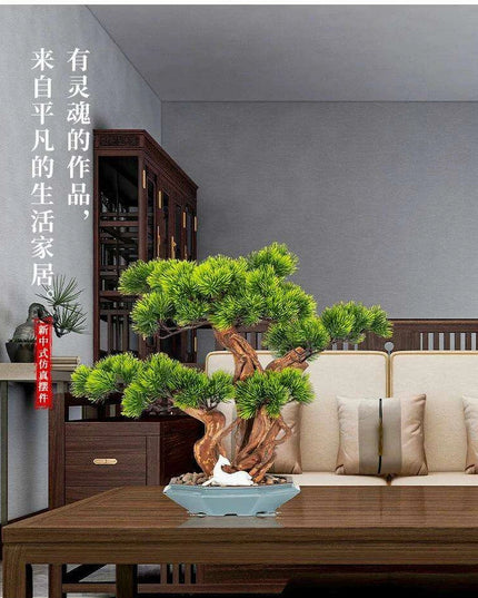 Prosperity Emblem Chinese Pine Bonsai - A Luxurious Symbol of Wealth and Abundance