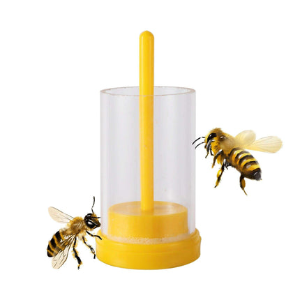 Beekeeper's Essential Queen Bee Marker Kit for Easy Identification