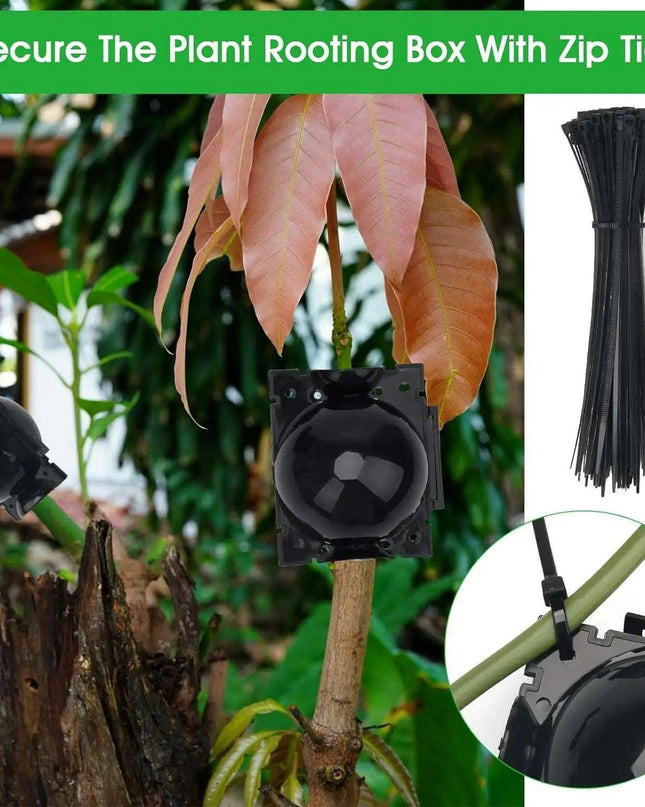 10-Pack Reusable Plant Rooting Spheres for Seamless Air Layering and Propagation