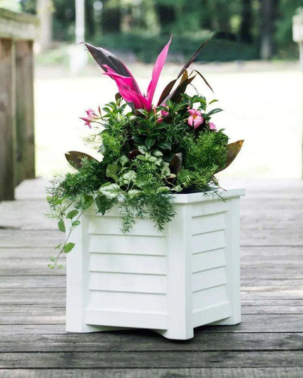 Coastal Elegance 16" Self-Watering Square Planter - Ideal for Outdoor Gardens