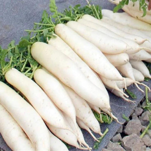 Colorful Realistic Faux Vegetable Decor Collection - 6 Festive Props for Joyful Celebrations
