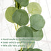 Elegant Silver Dollar Eucalyptus Green Swag - Chic Home Decor Accent