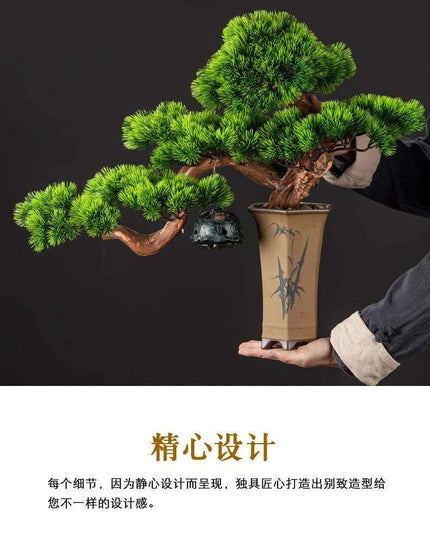 Prosperity Emblem Chinese Pine Bonsai - A Luxurious Symbol of Wealth and Abundance
