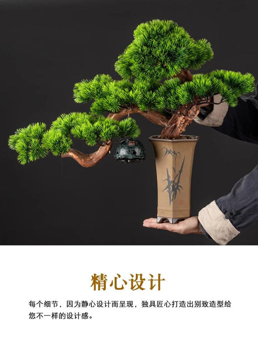 Chinese Pine Prosperity Bonsai Plant - Handcrafted Symbol of Good Fortune