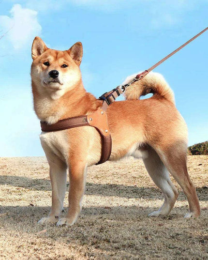 Ultimate Adjustable Nylon Dog Harness - Comfort Vest for All Breeds