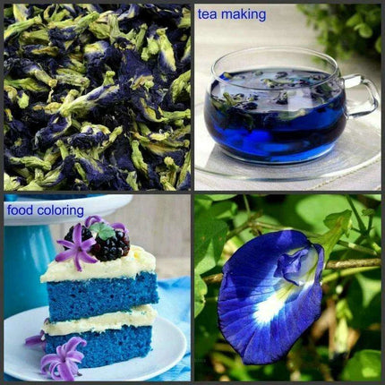 Vibrant Blue Butterfly Pea Tea - Nourish Immunity and Enhance Skin Radiance
