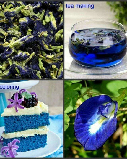 Vibrant Blue Butterfly Pea Tea - Nourish Immunity and Enhance Skin Radiance