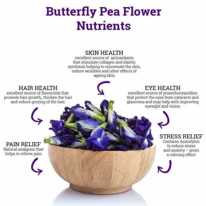 Thai Blue Butterfly Pea Flower Tea - Pure Elixir for Immunity & Glowing Skin