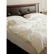 B / Twin 3pcs / Flat Bed Sheet