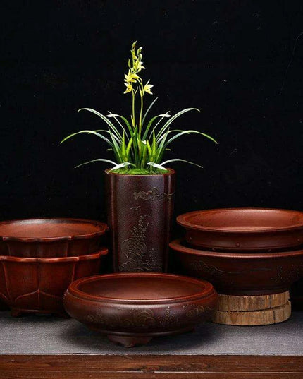 Serene Vintage Zen Purple Orchid Pot with Elegant Garden Aesthetic