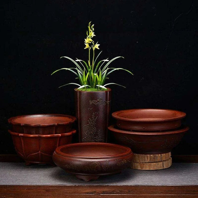 Serene Vintage Zen Purple Orchid Pot with Elegant Garden Aesthetic
