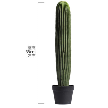 Home Decoration. 80 Characters Simulated Green Plants for Indoor Micro-landscape Decor Under Staircase the-space-under-the-staircase-is-decorated-with-simulated-green-plants-in-the-desert-creating-indoor-micro-landscape