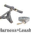 harness leash / XS