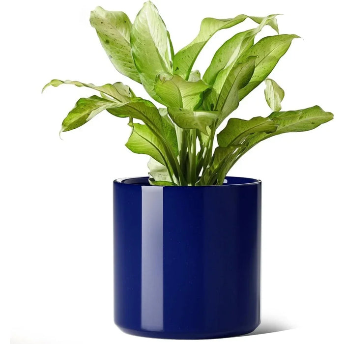 Large Blue 12-Inch Ceramic Flower Pot with Silicon Plug