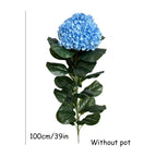 100cm Blue