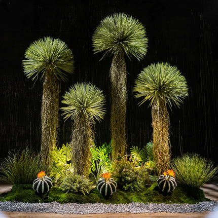 Dragon’s Blood Tree Faux Indoor Floor Plant — Dense Foliage, Living Room Decor