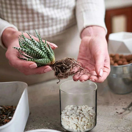 Elegant 24-Piece Borosilicate Glass Cylinder Vase Set: Three Size Options for Versatile Decor