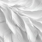 Abstract Silk Feather