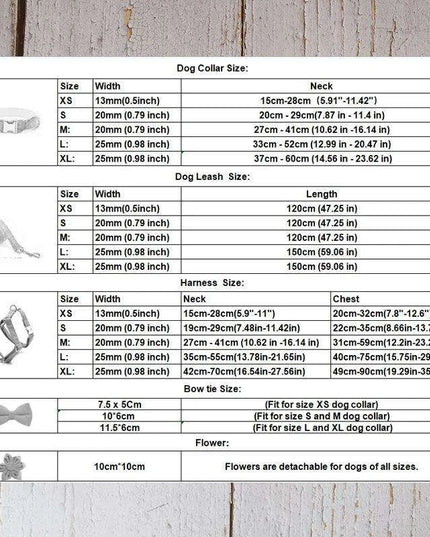 Personalized Light Grey Corduroy Dog Collar and Leash Set with Stylish Accessories