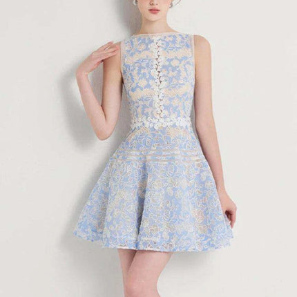 Sleeveless Lace Mini Dress with Hollow Out Embroidery for Women's Summer Events 2024