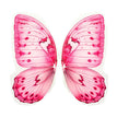 H Butterfly fabric / China Mainland