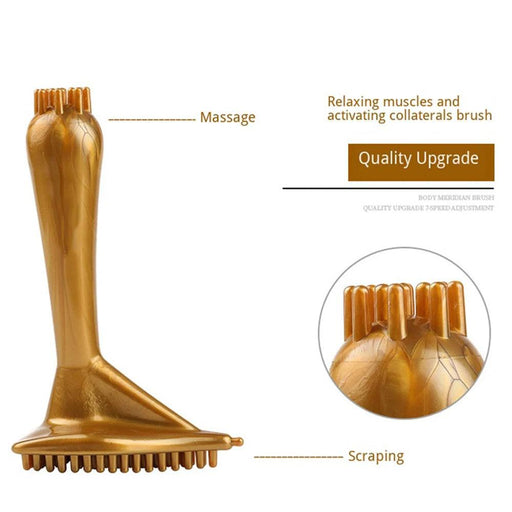 Therapeutic Shiatsu and Gua Sha Massage Toolkit for Complete Relaxation
