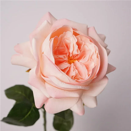 Real Touch Austin Latex Rose Stems — Set of 5