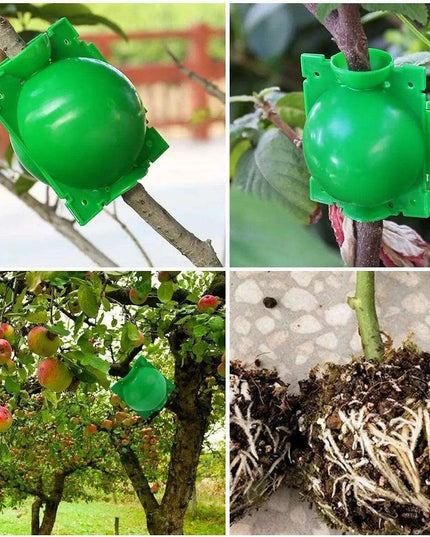 10-Pack Reusable Plant Rooting Spheres for Seamless Air Layering and Propagation